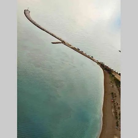 Sara Punta Near Sandy